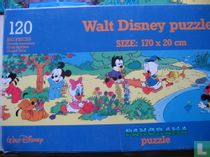 Walt Disney