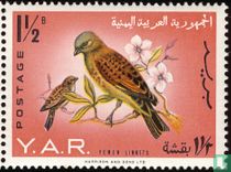 Vögel 