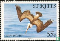 Oiseaux           