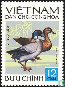 Oiseaux