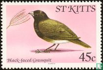 Oiseaux         