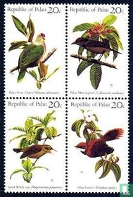 Oiseaux  