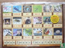 New Zeeland reading board