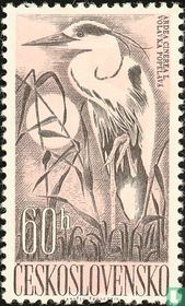 Wasser Vögel  