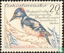 Oiseaux