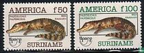 Cuvier's dwarf caiman