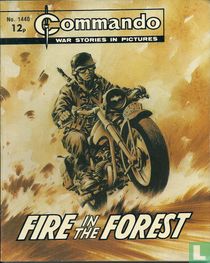 Fire in the Forest