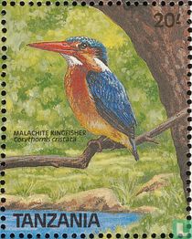 Birds for sale