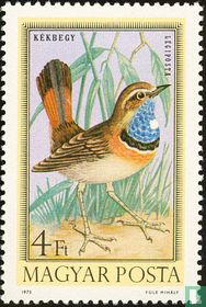 Vögel