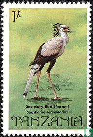 Oiseaux 