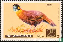 Pheasants for sale