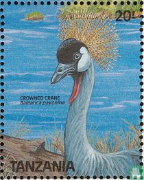 Birds for sale