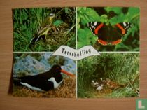 Terschelling