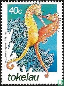 Sea Horses