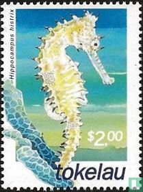 Sea Horses
