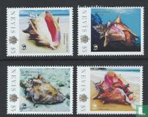 WOW - Rose Wing Corne