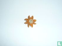 Edelweiss