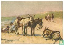 Strandezeltjes