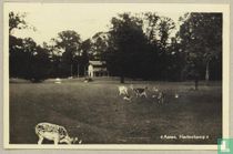Hertenkamp