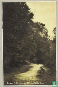Laantje bij de Ronde Kom