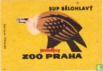 Sup Belohlavy (vale gier)