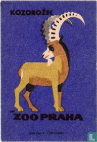 Kozorozec (Steenbok)