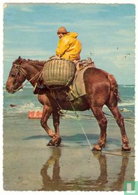 Garnaalvisser - Pêcheur de crevettes (Westende 30/03/1967)