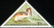 Wasservögel