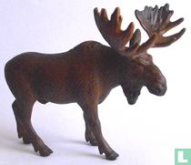 Elchbulle