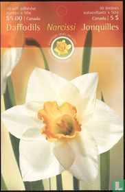 Daffodils