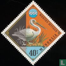 Protection de l'environnement 