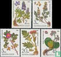 Medicinal plants for sale