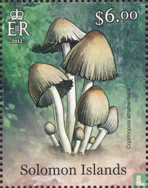 Champignons  