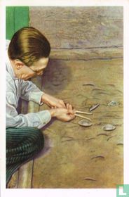 Brussel - Spel met werpschijven