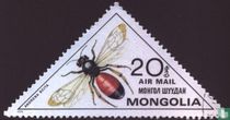 Insecten kopen