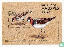 Oiseaux  