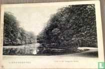 Vijver in het haagsche Bosch