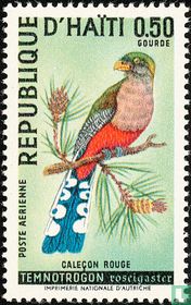 Oiseaux  