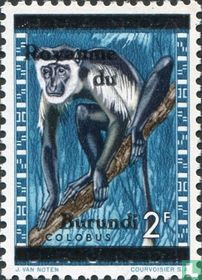 Animals