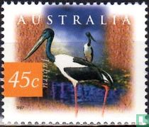 Flora and fauna-wetlands for sale