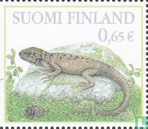 Forest Animals