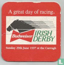 A great day of racing. Budweiser Irish Derby
