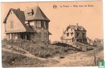 De Panne Villas dans les dunes