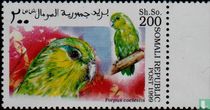 Oiseaux