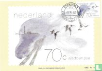 Waddenzee