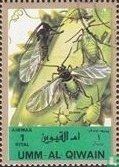 Insects