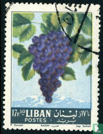 Fruits for sale