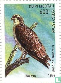 Kirgizië 1998 acheter