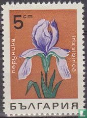 Blumen