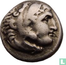  Tête d'Héraclès à droite avec le Lion de Némée peau coiffure. Sa limite dans le cou.